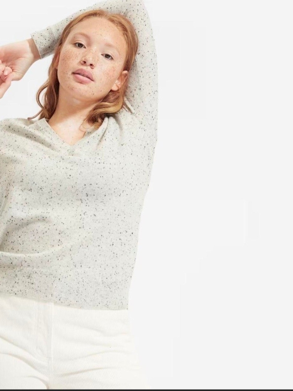 Everlane Cashmere Speckled Cream V-Neck Sweater